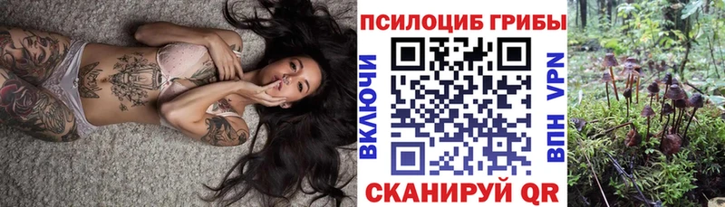 Псилоцибиновые грибы Psilocybe  Спасск-Дальний 